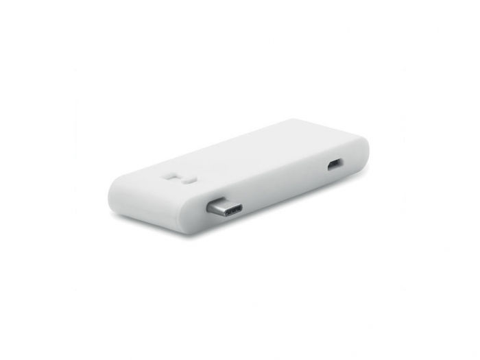 USB hub with type C plug