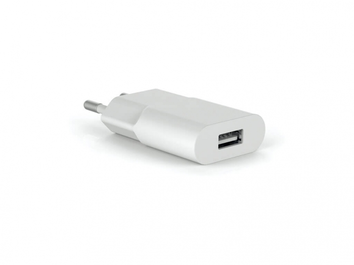 Travel plug