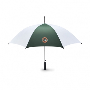 Auto open umbrella