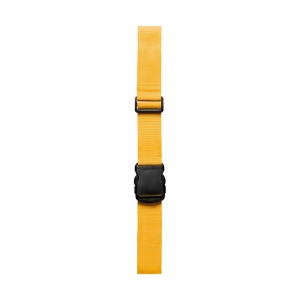 Simple luggage strap