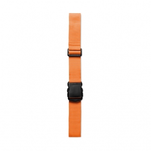 Simple luggage strap