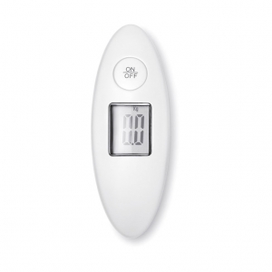 Luggage scale